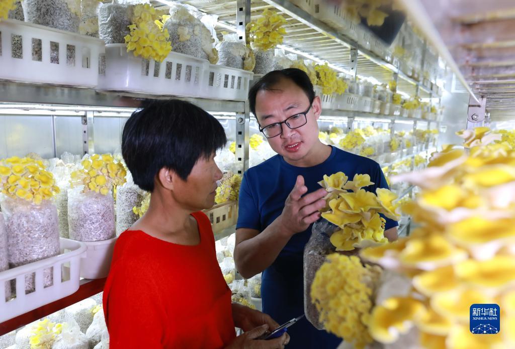 博狗在线平台